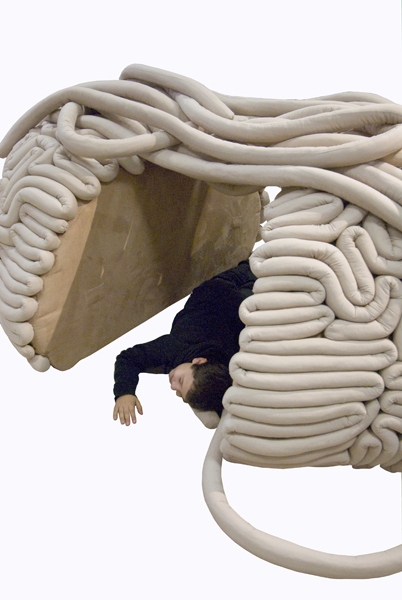 brain
